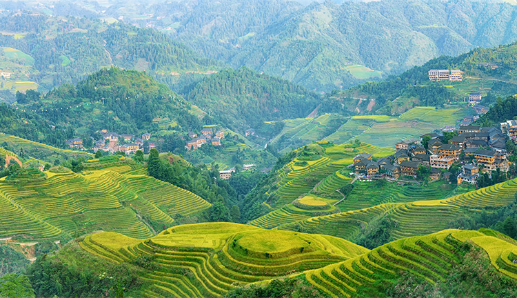 Green and Low Carbon